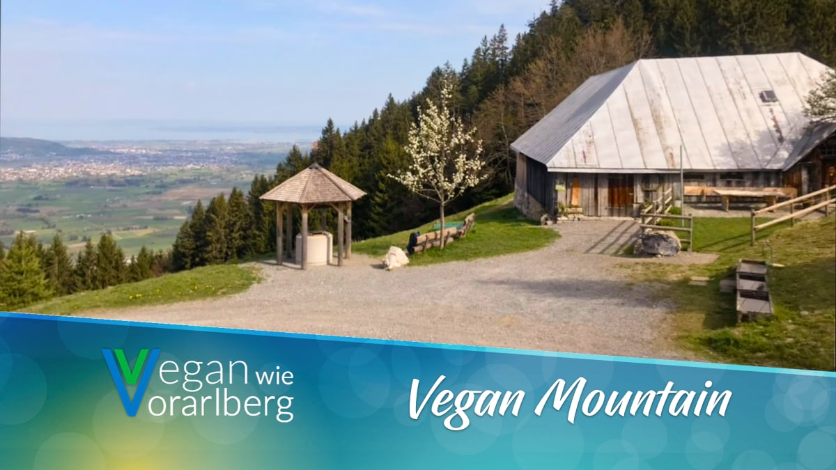 Wanderung auf die Ranzenberg-Alm